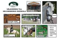 Webbsida från Helsingborgs Ridskola AB