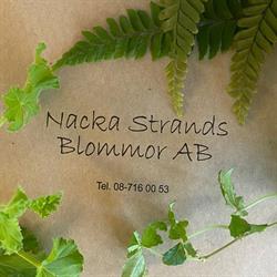 Nacka Strands Blommor
