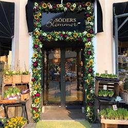 INTERFLORA FRESH SÖDERS BLOMMOR