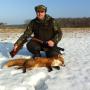 Predator hunt Sweden