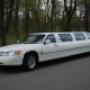 limousine vit