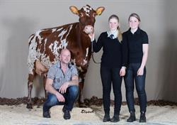 Knutssons Lantbruk Handelsbolag