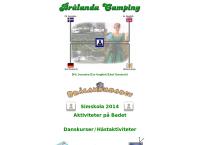 Webbsida från Brålanda Camping