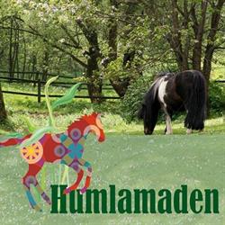 Humlamaden Rehab