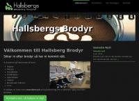 Hallsbergs Brodyr Aktiebolag