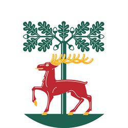 ALINGSÅS KOMMUN