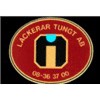 Lackerar Tungt i Veddesta AB
