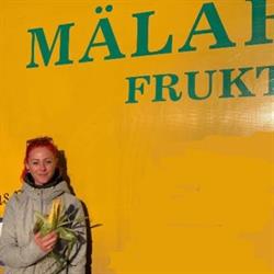 Mälardalens Frukt & Grönt i Västerås AB