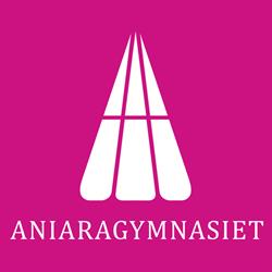 ANIARAGYMNASIET