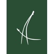 Areal
