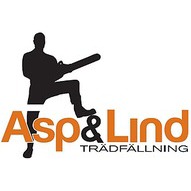 Asp och Lind Trädfällning