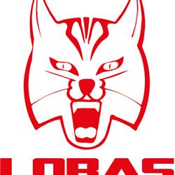 Basketklubben Lobas