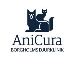 Borgholms Djurklinik