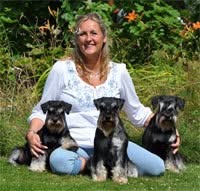 Chottans Hundtrim