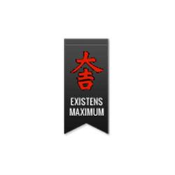 Existens Maximum Metodiken AB