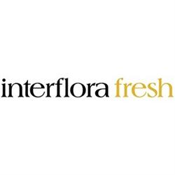 Interflora Fresh Täby