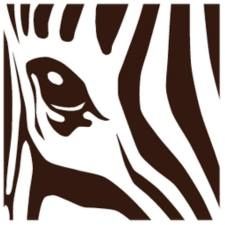 African Tours & Safaris