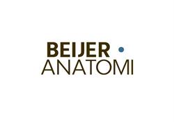 BEIJER ANATOMI