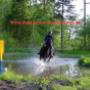 www.munkaljungbyridcenter.se