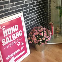 Älmsta Hundsalong