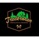 Trädkronan