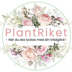 PlantRiket