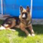 # 7