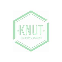 Knut Regeringsgatan