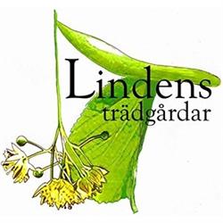 Lindens Trädgårdar