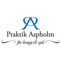 Praktik Aspholm