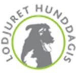 Lodjuret Hunddagis