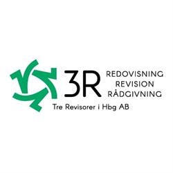 Tre Revisorer i Hbg AB