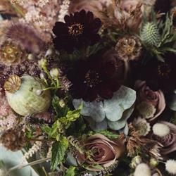 Blomsterverksta'n & Nya Rum