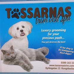 Tassarnas Trim och Spa
