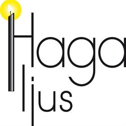 Hagaljus AB