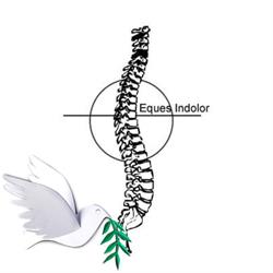 Eques Indolor AB