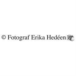 Erika Hedéen, Fotograf Hekon AB