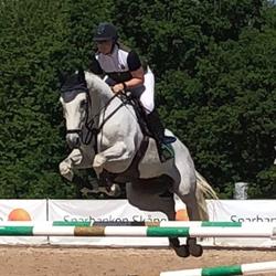 Lundegård Equestrian AB