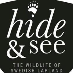 Hide & See