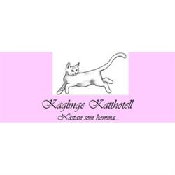Käglinge Katthotell