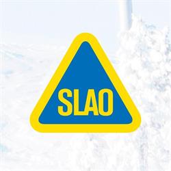 Svenska Skidanläggningars Organisation