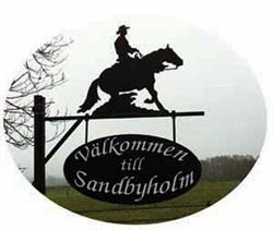 Sandbywestern HB