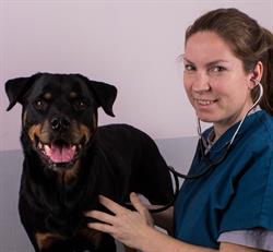 Gnesta Veterinärpraktik AB
