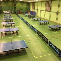 Falu Bordtennisklubb