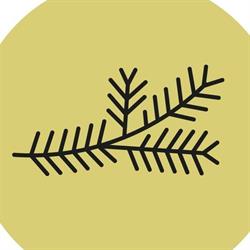 2inspire - Cafe Östersund