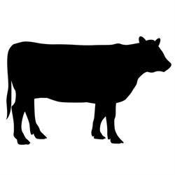 Svenskt Kött