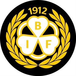Brynäs Idrottsförening