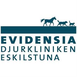 Evidensia Djurkliniken Eskilstuna