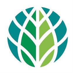 World Bioenergy Association