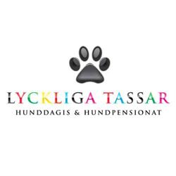 Lyckliga Tassar Hunddagis & Pensionat